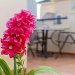 Casa vacanze In